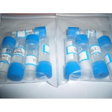 Pharmaceutical Peptide Fragment 176-191 for Loss Weight 2mg/Vial